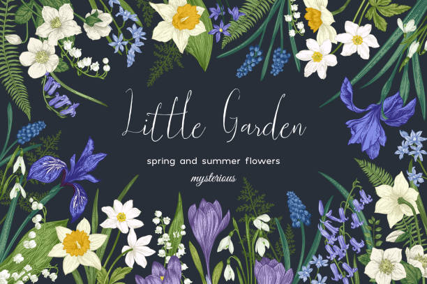 Flowers and plants background. Little garden. Vector botanical illustration. Flowers and plants on a dark background. lily of the valley garden stock illustrations