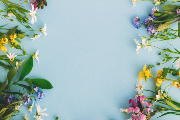 istock Wildflowers colorful frame on blue paper background, flat lay with space for text. Blooming spring flowers, floral greeting card template. Happy Easter. Mother's day concept. Hello spring 1222172161