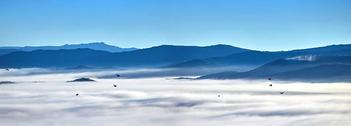 The sea of clouds in canyon at morning.