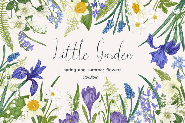 Floral frame with flowers. Floral frame with spring and summer flowers. Vector botanical illustration. Colorful. lily of the valley garden stock illustrations