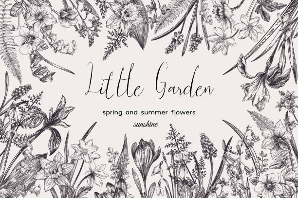 Floral frame with flowers. Floral frame with spring and summer flowers. Vector botanical illustration. Black and white. lily of the valley garden stock illustrations