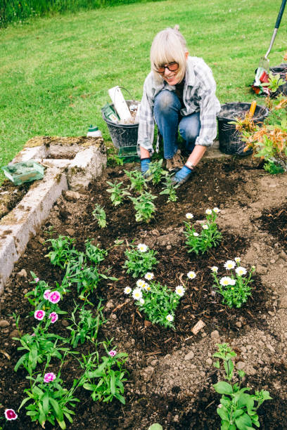 istock Healthy plants and good soil just need sun and water 1222175893