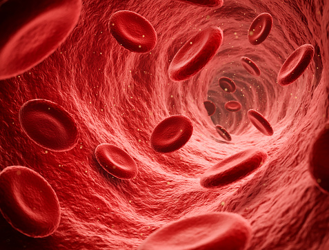 Endoscopic view of flowing red blood cells in a vein, illustration render
