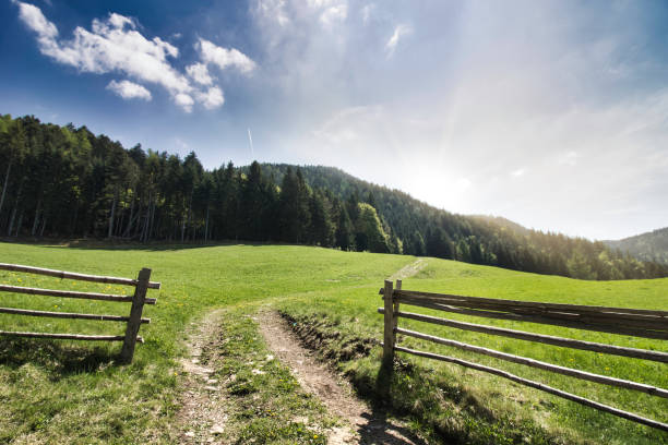 istock South Tyrol Landscape Open Fence 1222176608