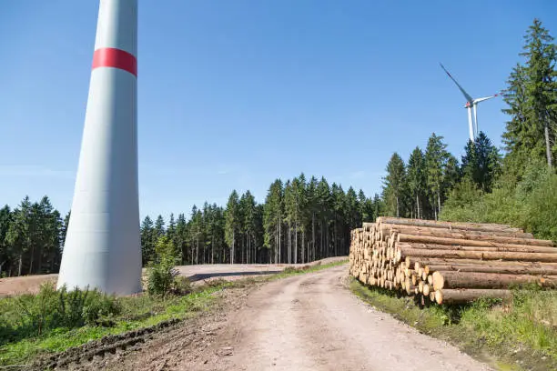 Photo of Forest_Windfarm
