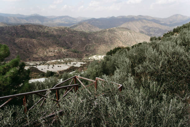 beau paysage de montagne avec des oliveraies. - mount of olives photos et images de collection