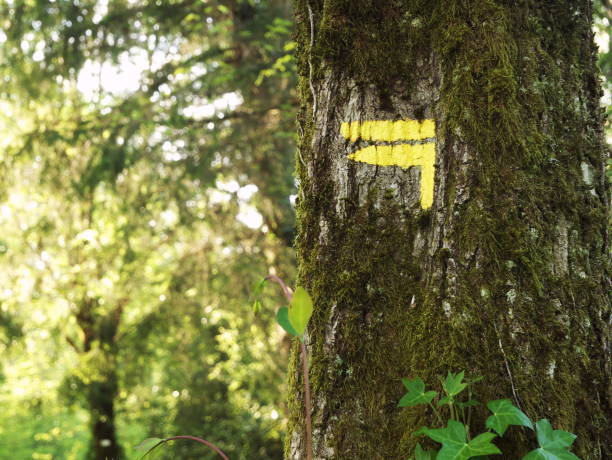 istock Hiking trail marker with a copy space 1222180973