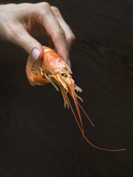 istock Hand holding a large fresh shrimp. Cooked fresh giant prawns 1222182539