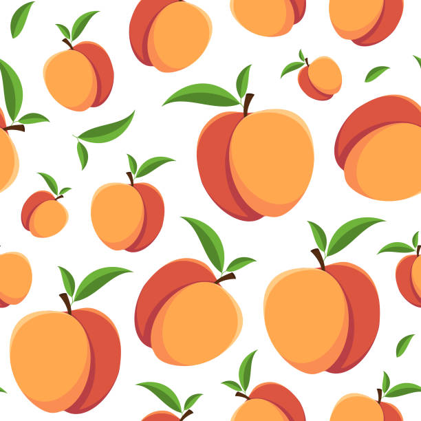 вектор бесшовный нектарин шаблон на белом фоне. яркий фруктовый фон - nectarine peach backgrounds white stock illustrations