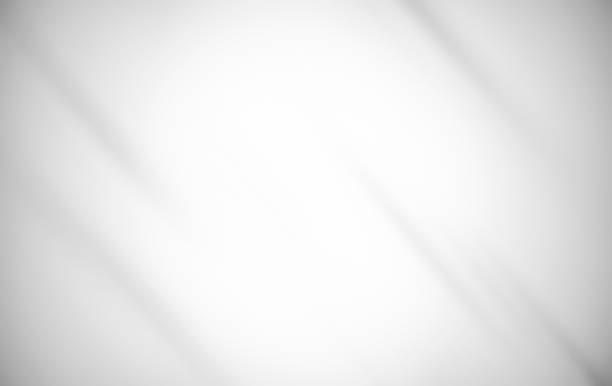 istock The gray and silver are light black with white the gradient is the Surface with templates metal texture soft lines tech gradient abstract diagonal background silver black sleek  with gray and white. 1222188914