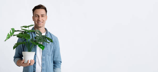 istock Home plant in hands of guy, panorama 1222189675