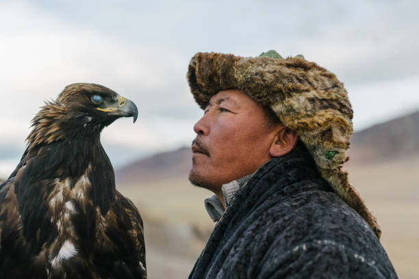 istock Eagle hunter looking in the eyes of eagle in desert in Mongolia 1222198896