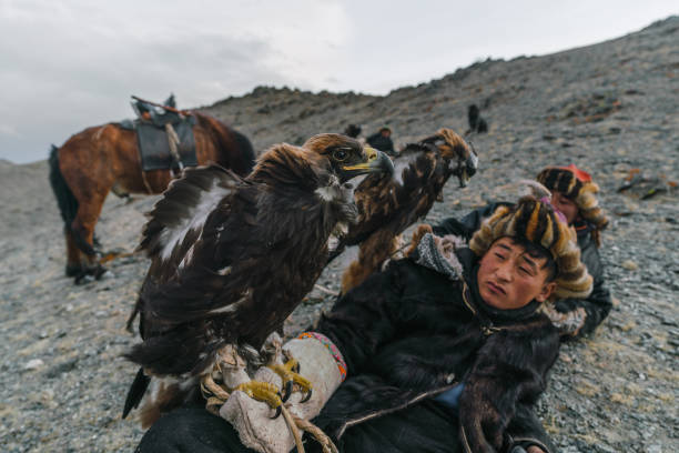 istock Eagle hunters resting in mountains in desert in Mongolia 1222201011