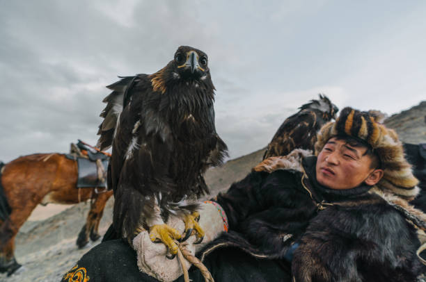 istock Eagle hunter resting in mountains in  desert in Mongolia 1222201489