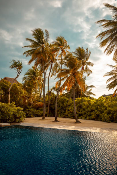 istock Beautiful landscape of a luxury beach 1222204744
