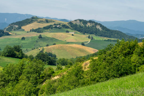 istock Summer landscape near Bagno di Romagna, in the Appennino 1222207095