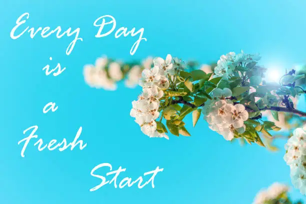 Every Day is a Fresh Start card. Wild Pear tree blossom. Horizontal banner with white flowers on cyan color blurred sky backdrop with bokeh lights. Nature spring background of blooming fruit branch.