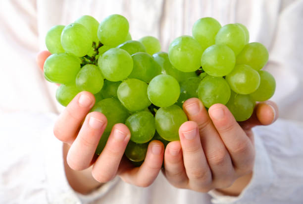 istock Hands with grapes. The child holds grapes in his hands. 1222210215