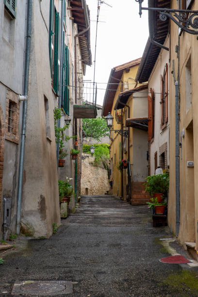 istock COUNTRY OF CESI 1222212036