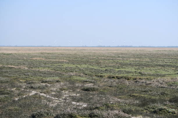 istock Wind turbines on the Eiderstedt peninsula 1222212715
