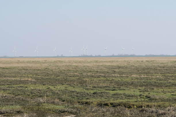 istock Wind turbines on the Eiderstedt peninsula 1222212716
