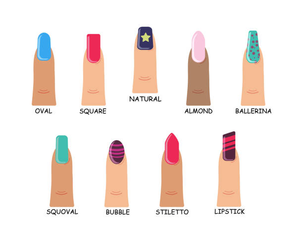 Different Shapes Nails Stock Illustration - Download Image Now - Almond,  Art, Artificial Nail - iStock