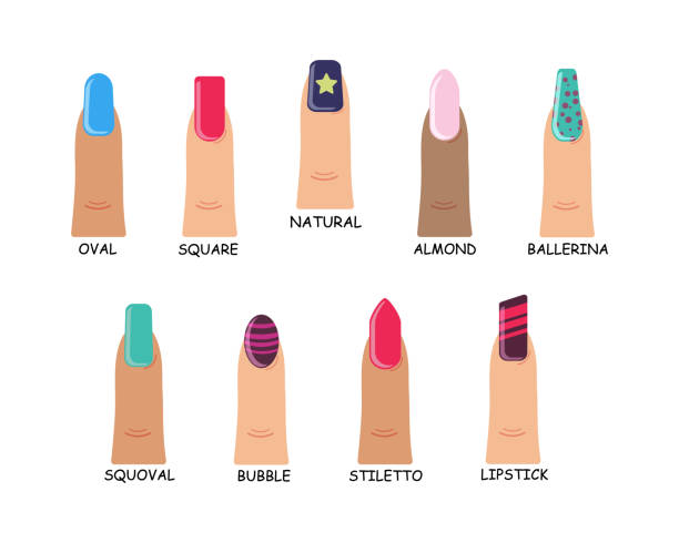 Different Shapes Nails Stock Illustration - Download Image Now - Almond, Art, Artificial Nail - iStock Different Shapes Nails Stock Illustration - Download Image Now - Almond, Art, Artificial Nail - iStock
