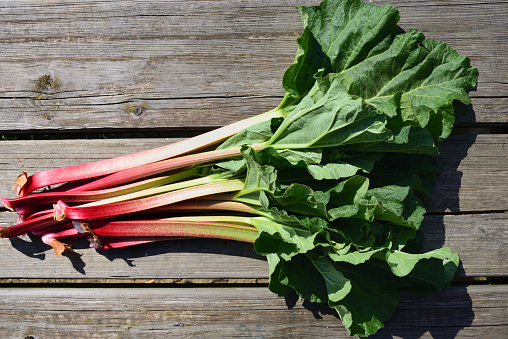 Fresh rhubarb with red stems and green leaves