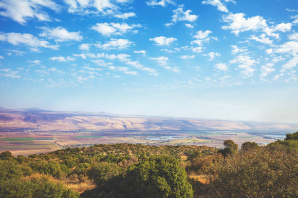 breathtaking view from mount menara, northern israel - horizon over land israel tree sunrise imagens e fotografias de stock