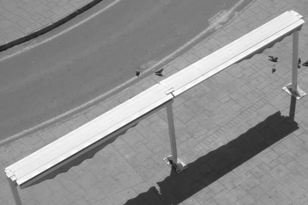 istock pigeons on a circular street 1222216007