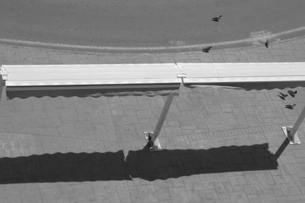 istock pigeons on a circular street 1222216012