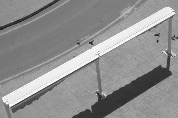 istock pigeons on a circular street 1222216037