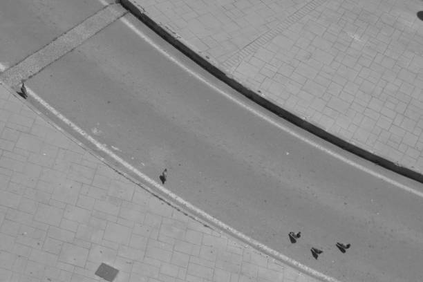 istock pigeons on a circular street 1222216046