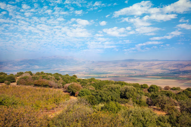 vista de tirar o fôlego do monte menara, norte de israel - horizon over land israel tree sunrise - fotografias e filmes do acervo