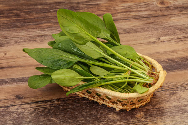 Vegan cuisine - Fresh green Spinach leaves heap