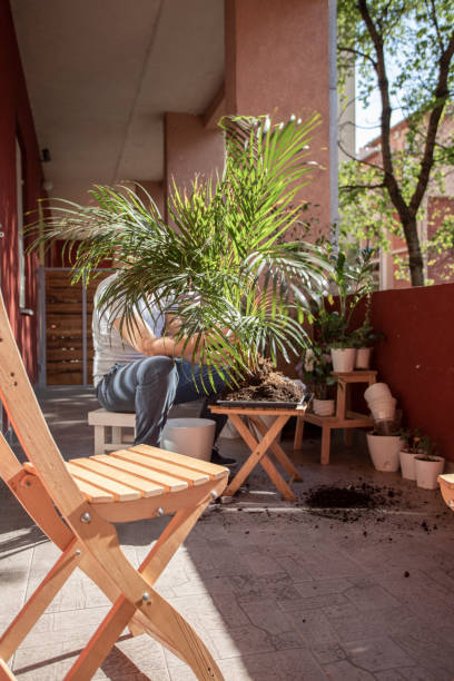 istock Good Care For His Plant 1222220342