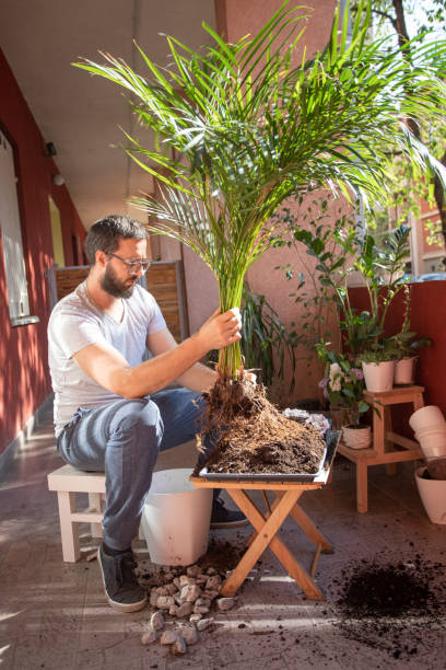 istock Hobby Of Growing Plants 1222220353