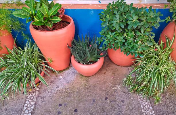 istock Round clay pots with decorative plants. 1222220389