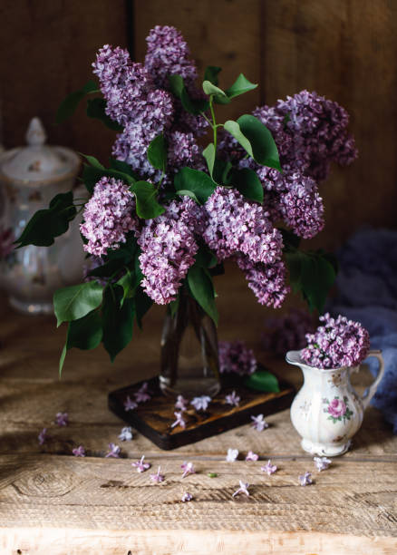 istock Lilac background. Purple lilac flowers spring blossom background 1222221370