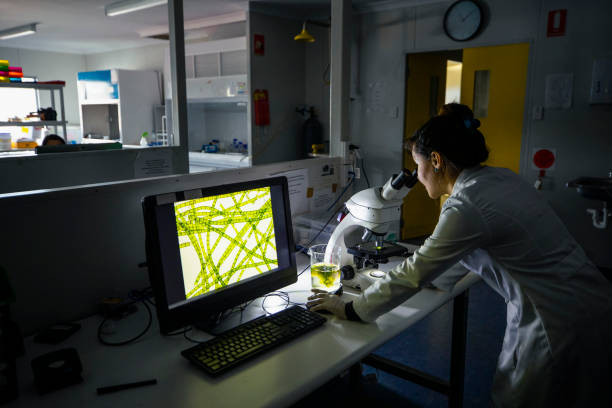 Working Late in the Lab A side-view shot of a female scientist looking through a microscope to analyse her findings in Perth, Australia. plant cell photos stock pictures, royalty-free photos & images
