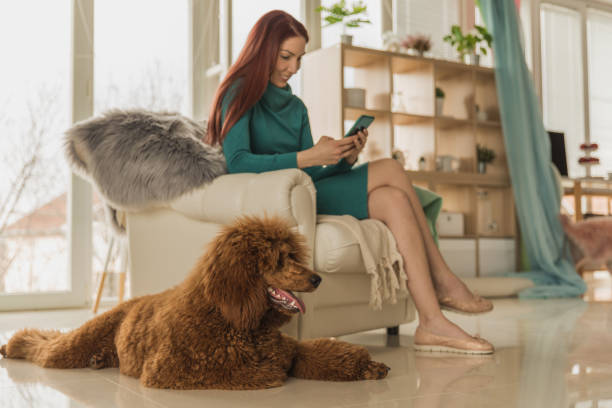 istock Woman texting her friends on her smart phone while relaxing with her dog 1222230501