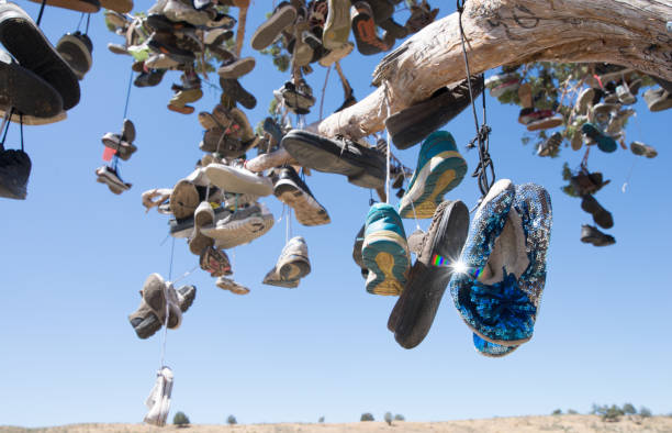 A shoe tree along highway 50 in Nevada stock photo