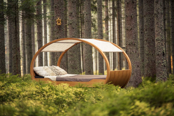 istock Circular bed sits in the middle of autumnal forest 1222232095