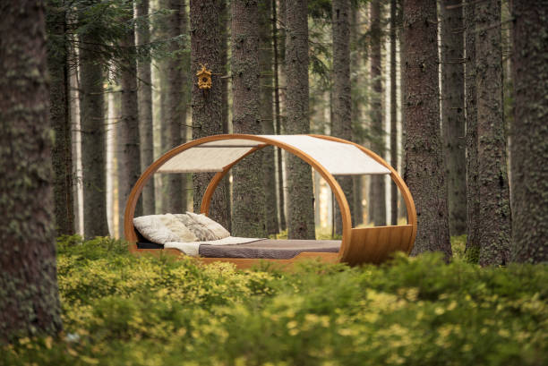 istock Circular bed sits in the middle of autumnal forest 1222232158