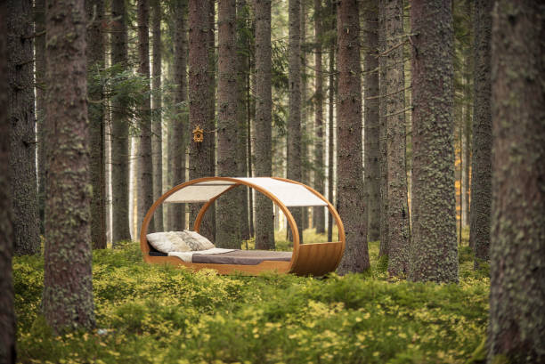 istock Circular bed sits in the middle of autumnal forest 1222232187