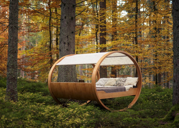 istock Circular bed sits in the middle of autumnal forest 1222232241