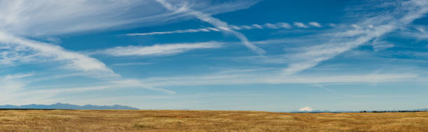 panorama des terres agricoles du nord de la californie - dry white blue northern california photos et images de collection