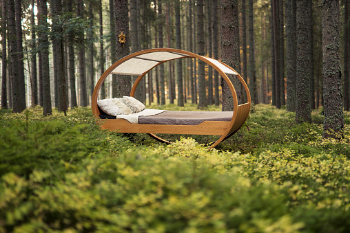 Circular bed sits in the middle of autumnal forest