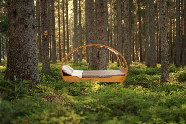 istock Circular bed sits in the middle of autumnal forest 1222232917