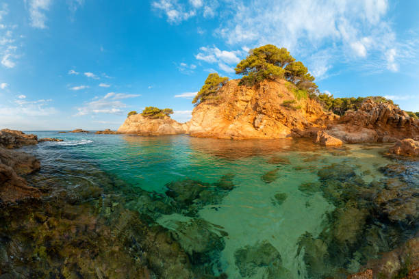 istock Summer tropical landscape 1222233001